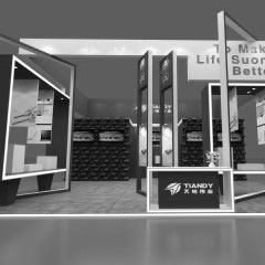 印度國(guó)際安防和消防展會(huì)IFSEC-天地偉業(yè)展位